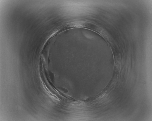 X0000064720386200602101129