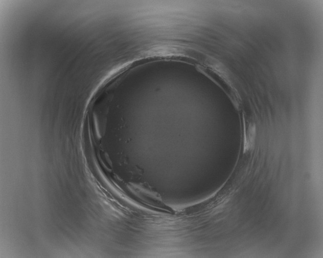 X0000064720387200602101129