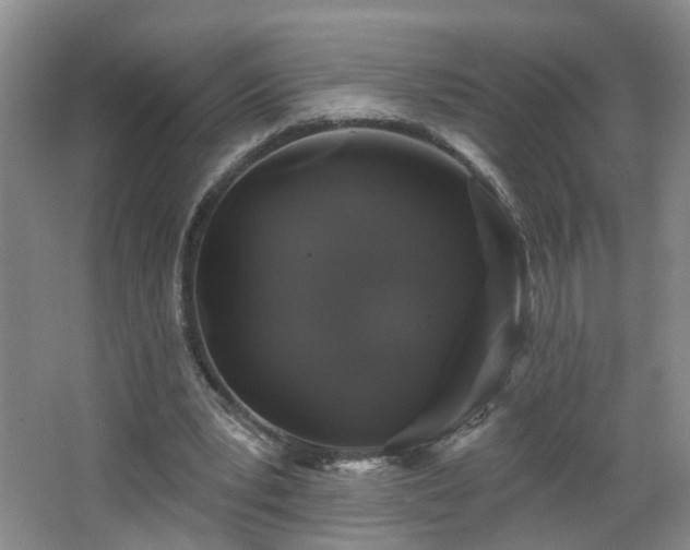 X0000064720391200602101129