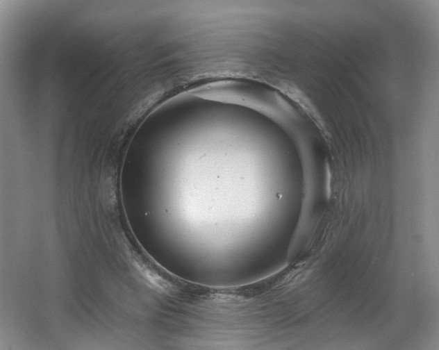 X0000064720393200602101129