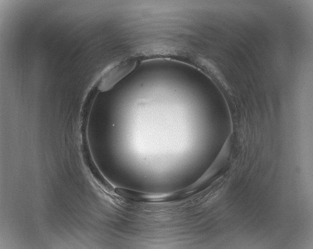 X0000064720395200602101129