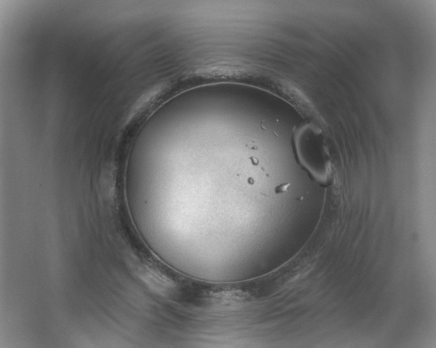 X0000064720396200602101129