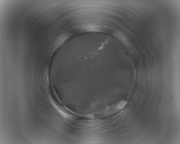 X0000064720398200602101129