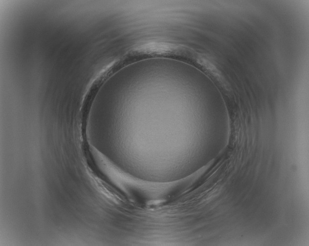 X0000064720399200602101129