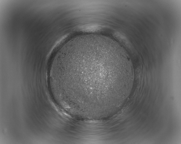 X0000064720400200602101129