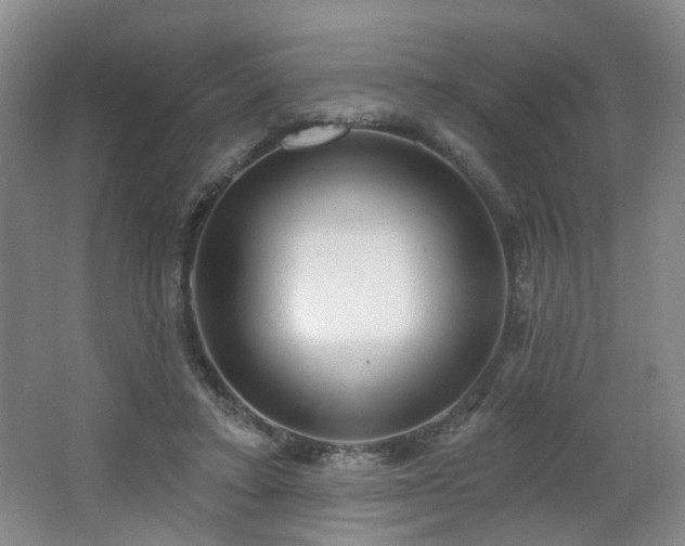 X0000064720403200602101129