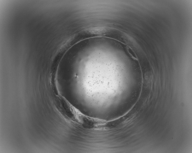 X0000064720404200602101129