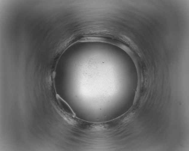 X0000064720405200602101129