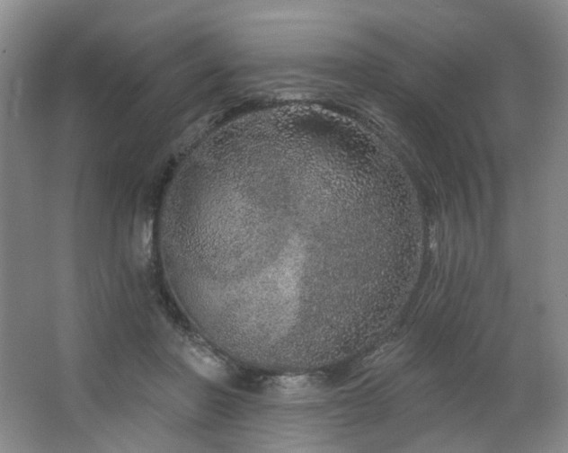 X0000064720406200602101129