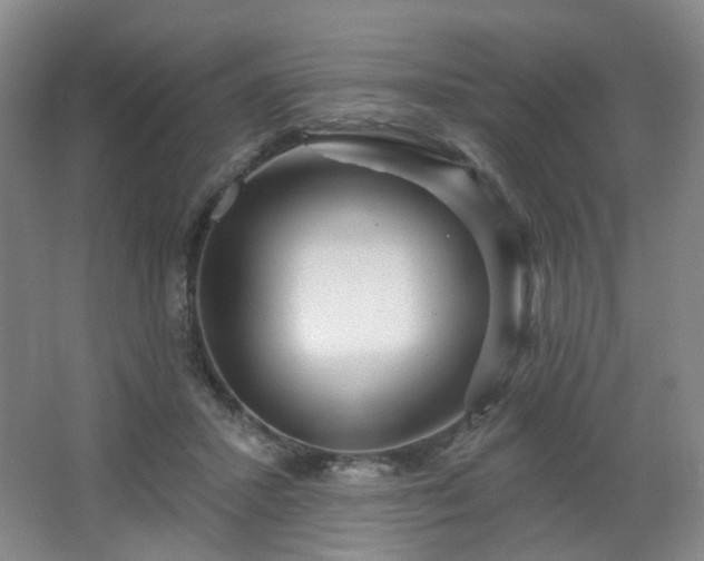 X0000064720407200602101129