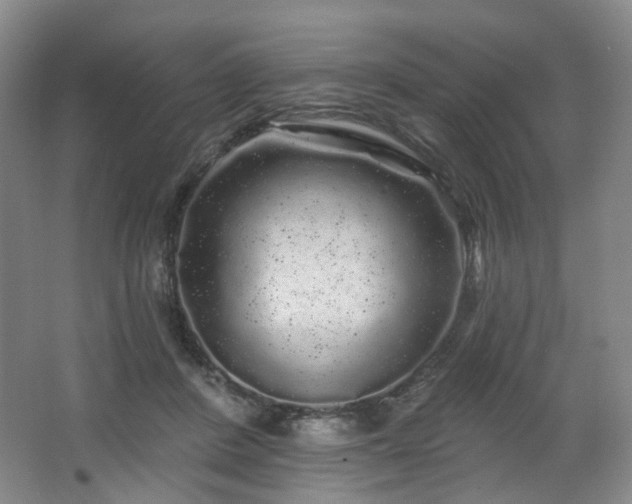 X0000064720408200602101129