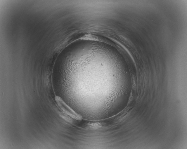 X0000064720409200602101129