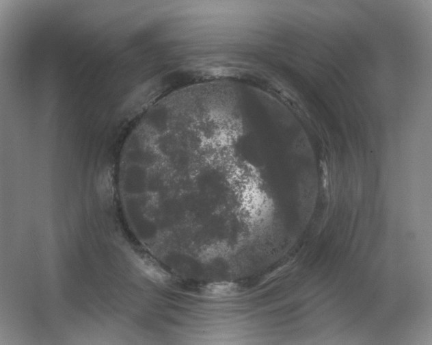 X0000064720410200602101129