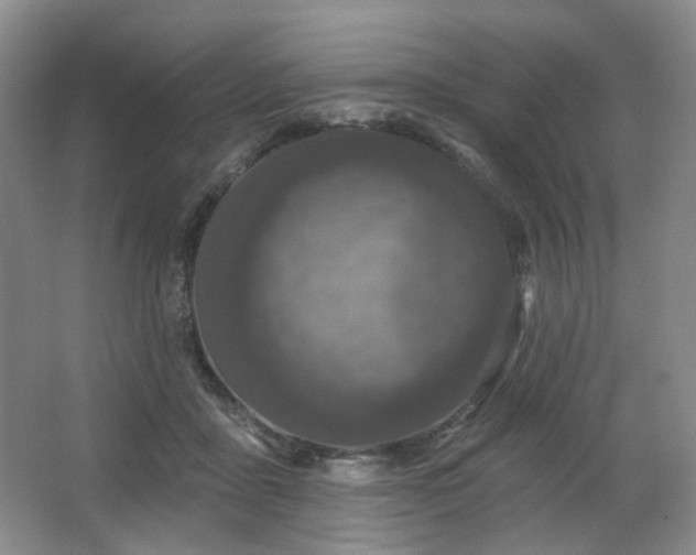 X0000064720411200602101129