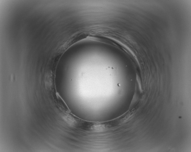 X0000064720413200602101129