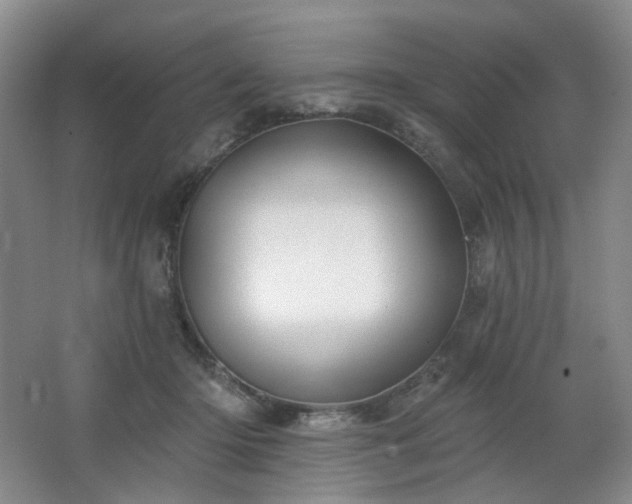 X0000064720414200602101129