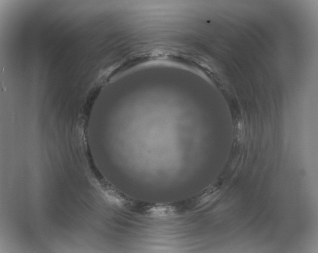 X0000064720415200602101129