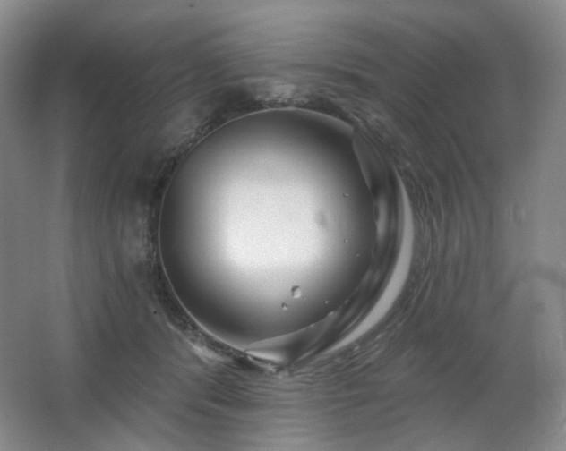 X0000064720416200602101129