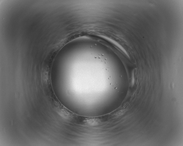 X0000064720417200602101129