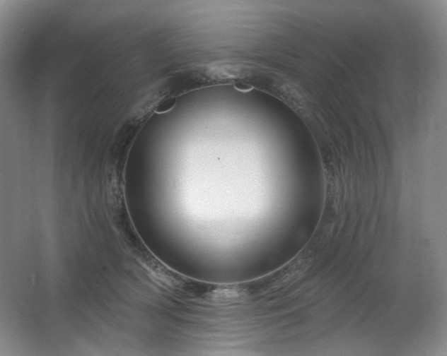 X0000064720418200602101129