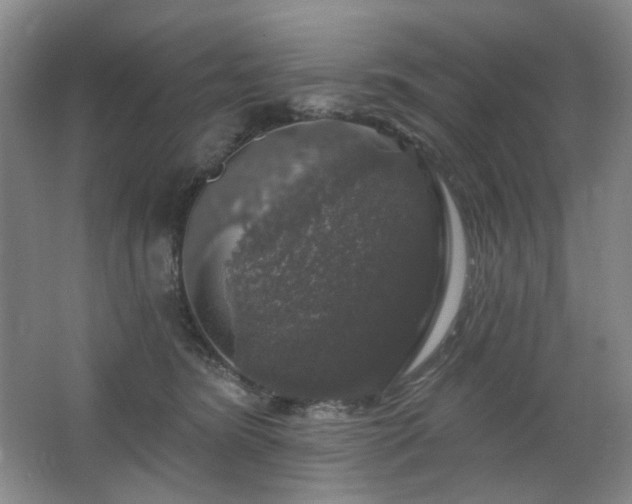 X0000064720420200602101129