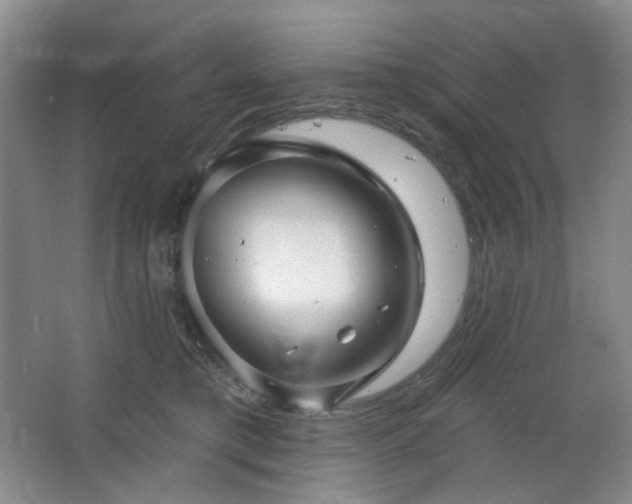 X0000064720421200602101129