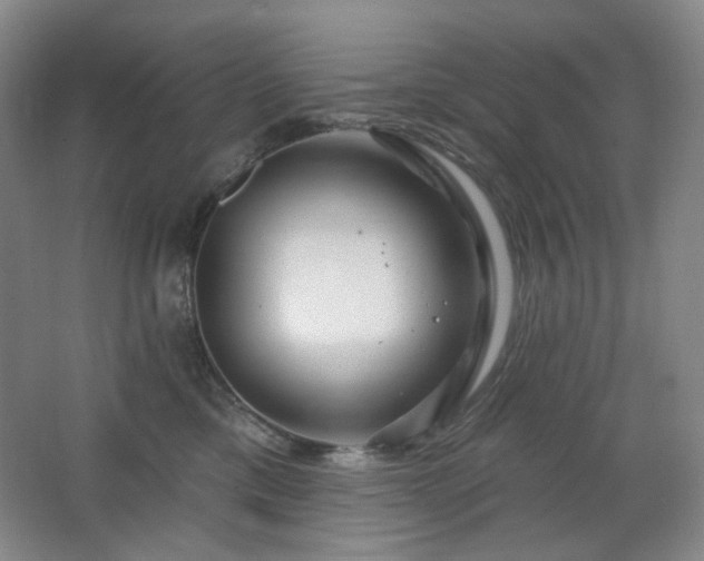 X0000064720425200602101129