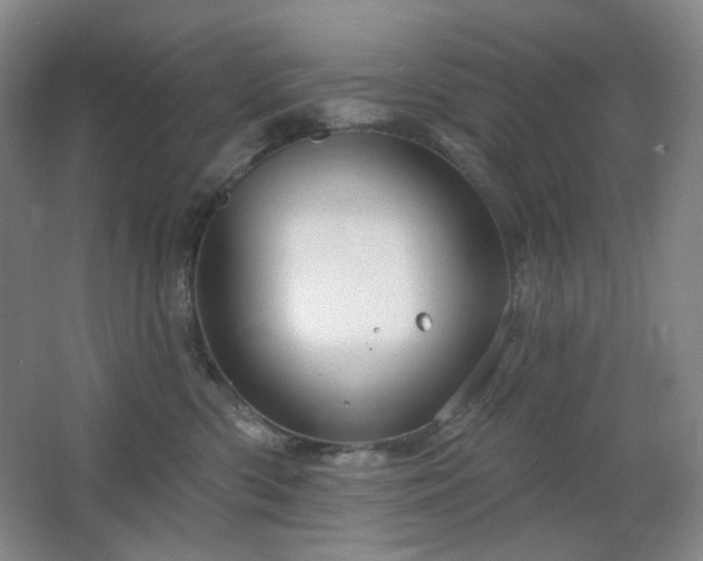 X0000064720426200602101129