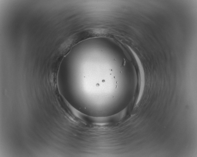 X0000064720428200602101129