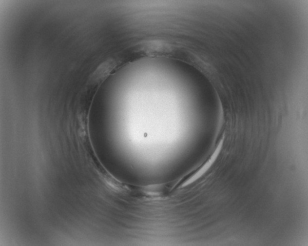 X0000064720430200602101129