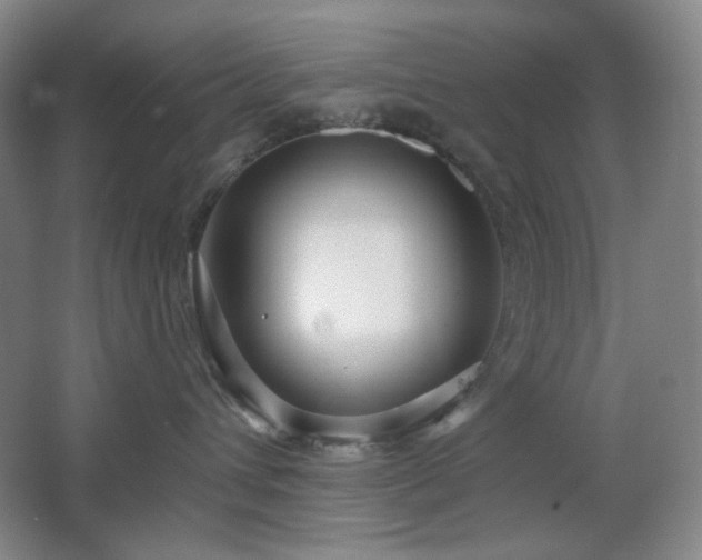 X0000064720432200602101129