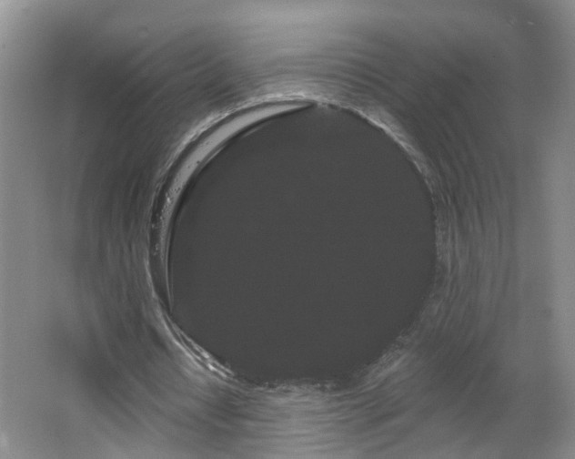 X0000064720434200602101128