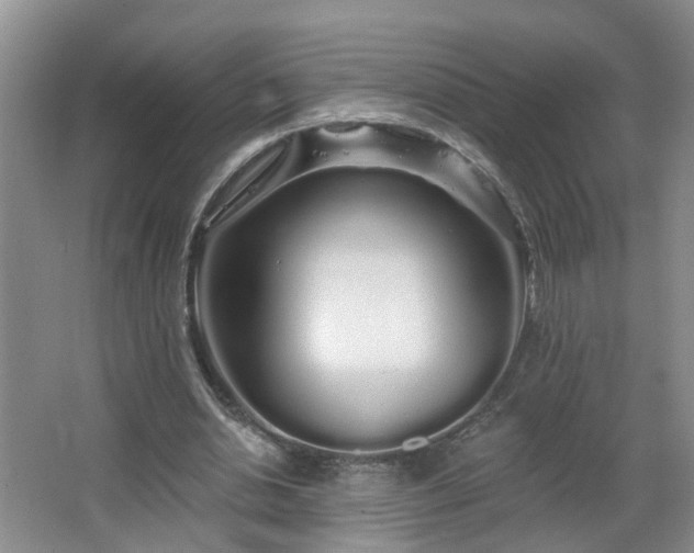 X0000064720438200602101128