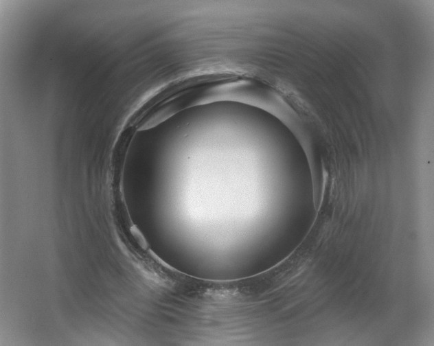 X0000064720440200602101128