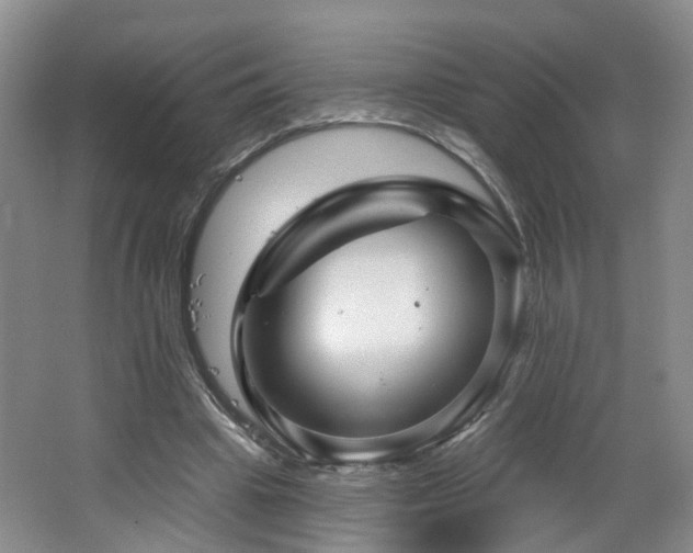 X0000064720441200602101128