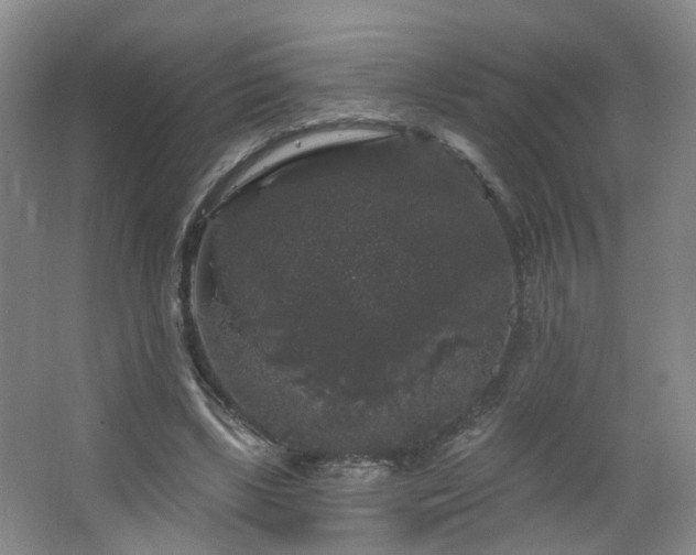 X0000064720443200602101128