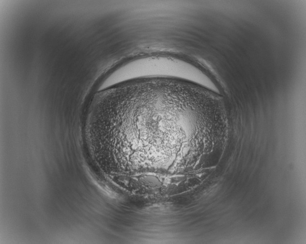 X0000064720447200602101128