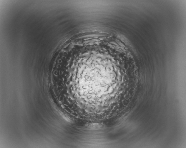 X0000064720449200602101128