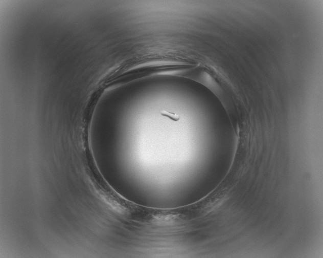 X0000064720450200602101128