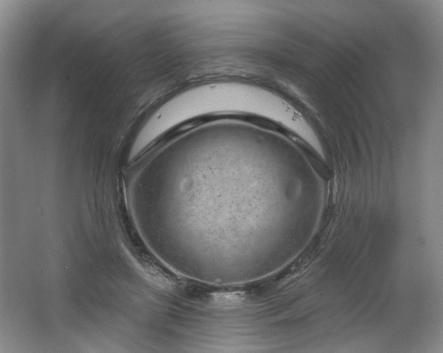 X0000064720451200602101128