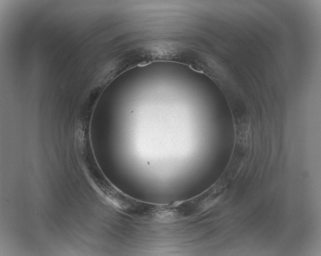 X0000064720456200602101128