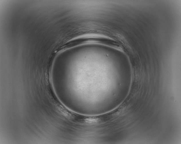 X0000064720457200602101128