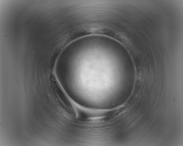 X0000064720461200602101128