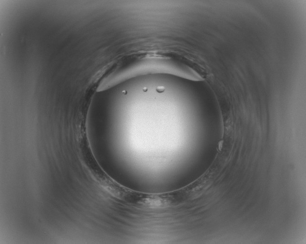 X0000064720464200602101128