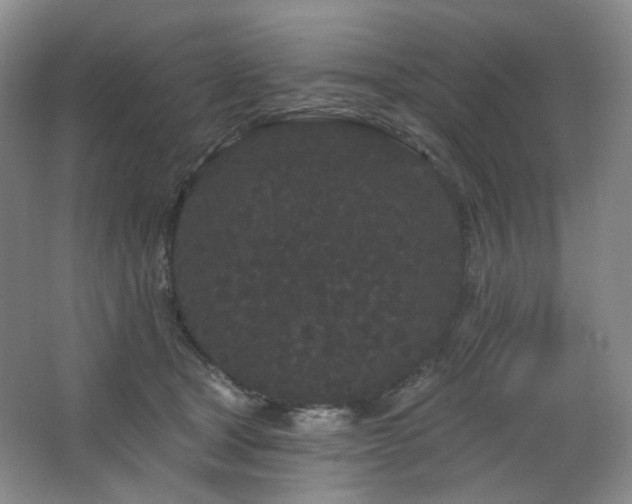 X0000064720465200602101128