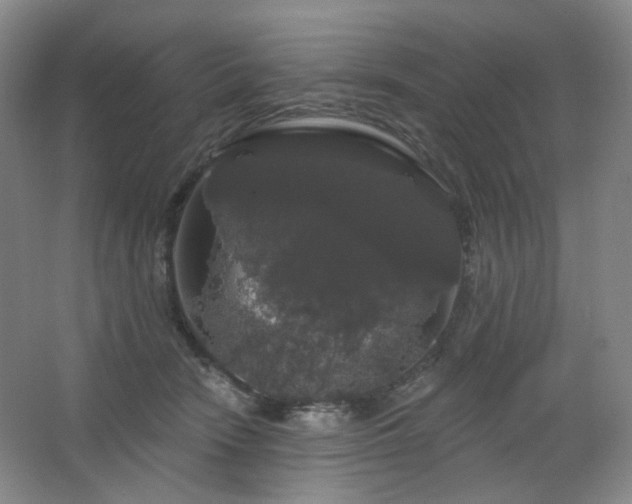 X0000064720466200602101128