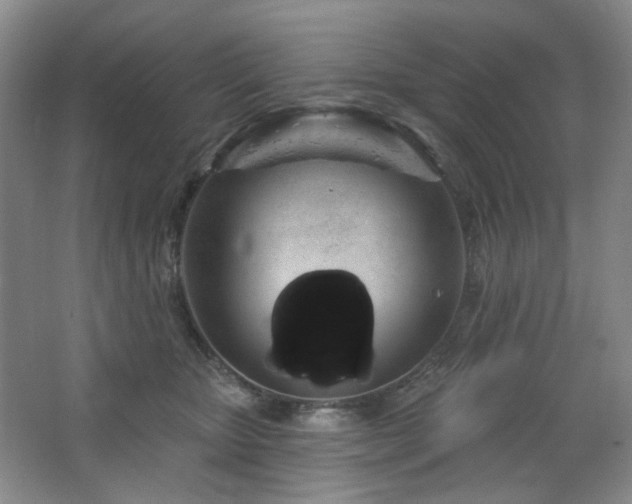 X0000064720467200602101128