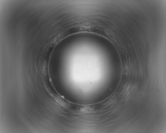 X0000064720468200602101128