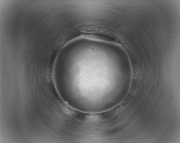 X0000064720469200602101128