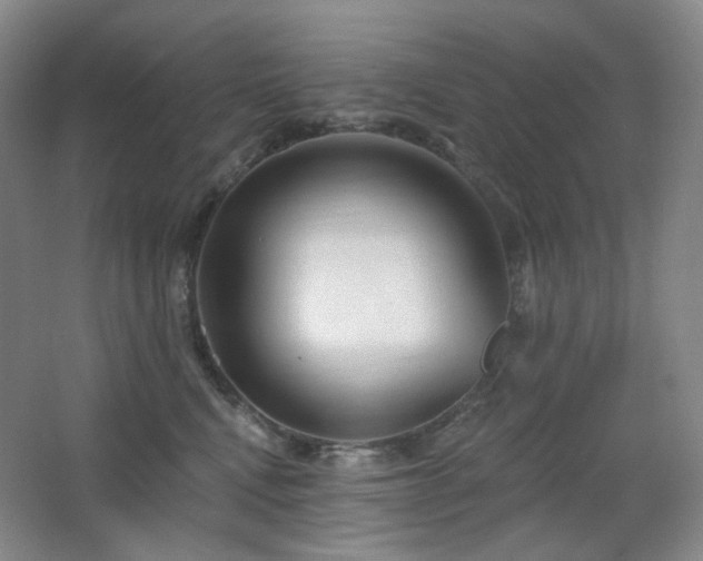 X0000064720472200602101128